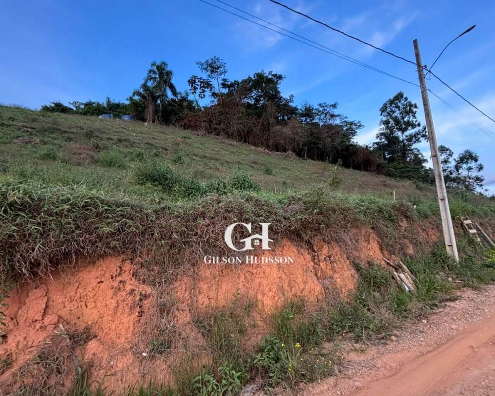 Chácaras no Bairro Paraíso em Viçosa - COD 038 (15)