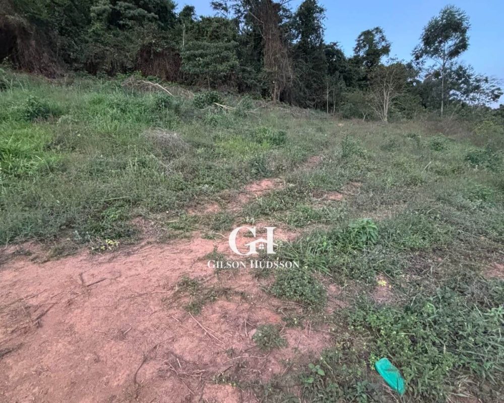 Chácaras no Bairro Paraíso em Viçosa - COD 038 (2)