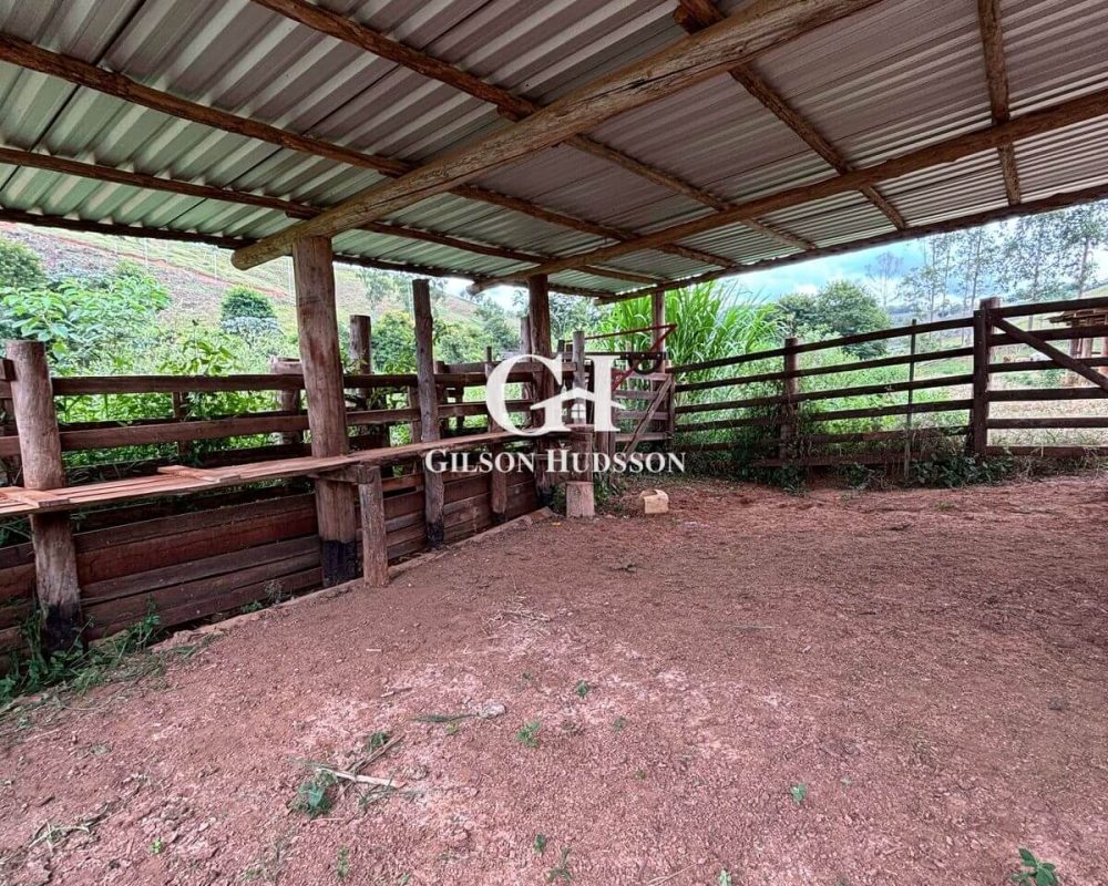 Fazenda no Corrego Fundo (zona rural de Viçosa) - COD 049 (11)