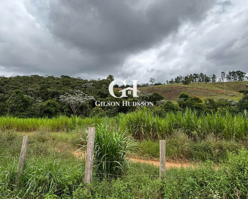 Fazenda no Corrego Fundo (zona rural de Viçosa) - COD 049 (14)