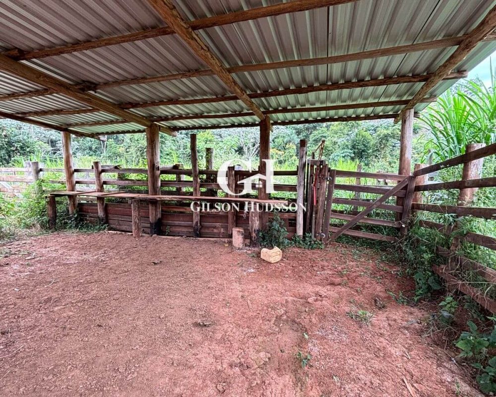 Fazenda no Corrego Fundo (zona rural de Viçosa) - COD 049 (16)