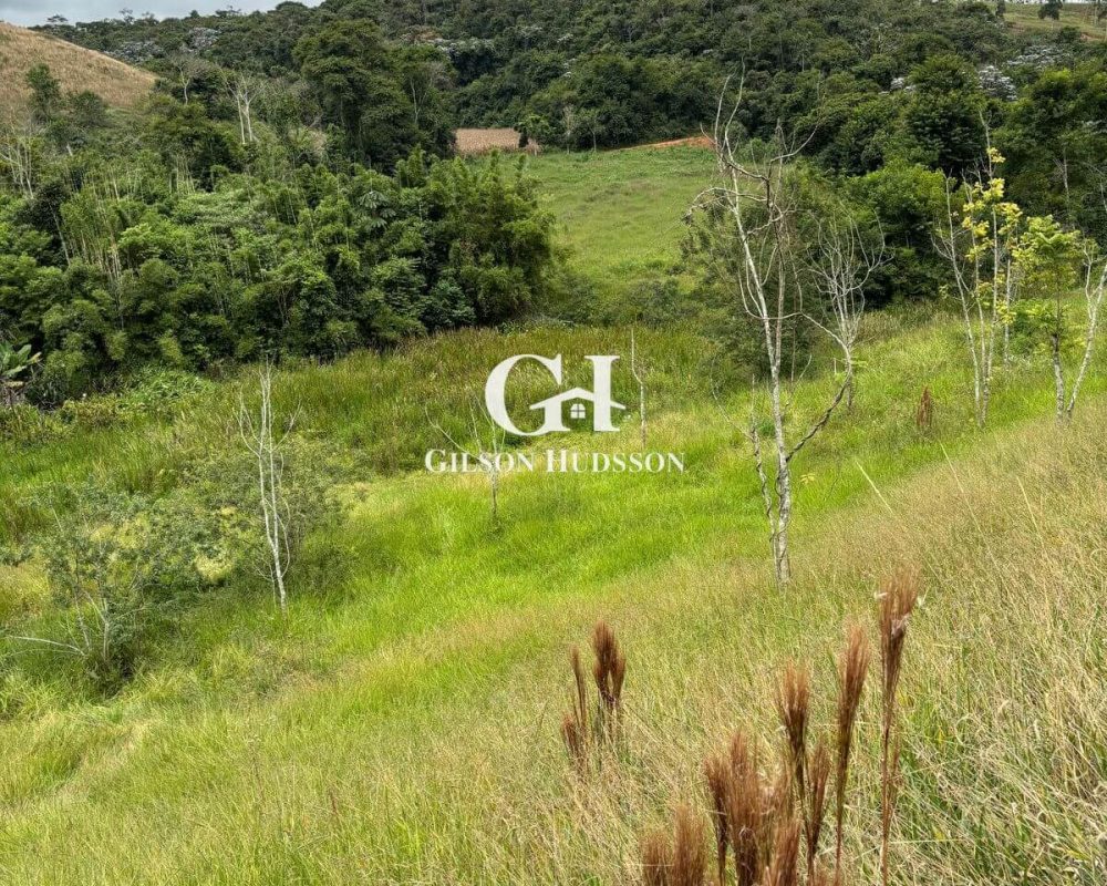 Fazenda no Corrego Fundo (zona rural de Viçosa) - COD 049 (20)