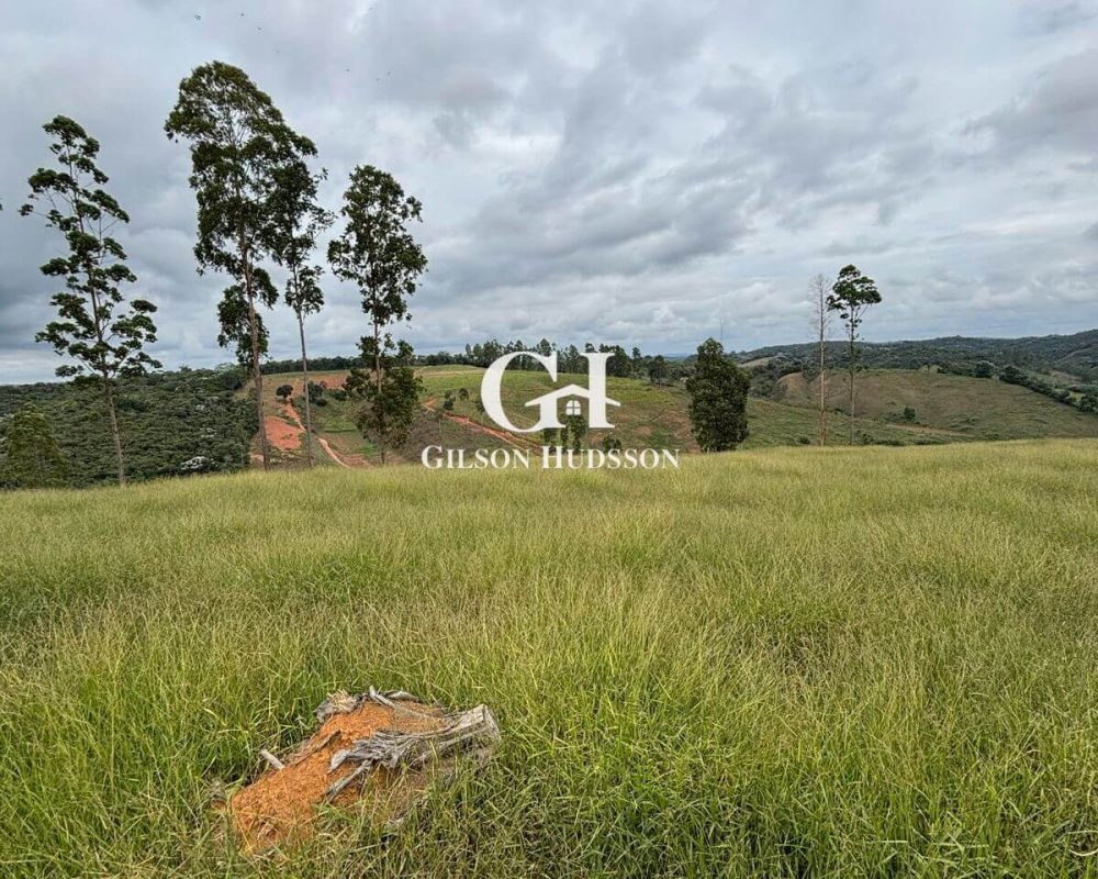 Fazenda no Corrego Fundo (zona rural de Viçosa) - COD 049 (4)