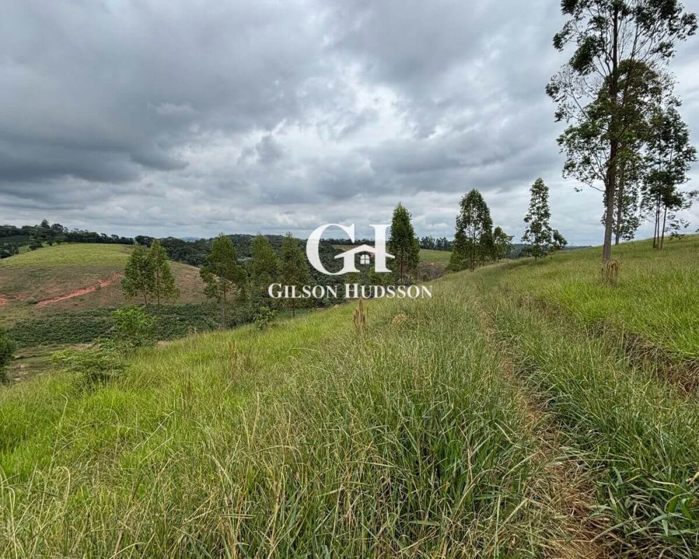 Fazenda no Corrego Fundo (zona rural de Viçosa) - COD 049 (5)