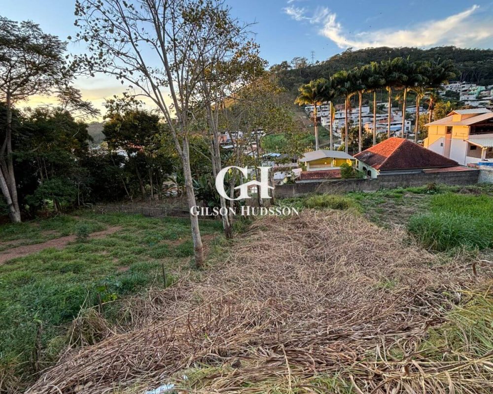 Lote no Bairro Inácio Martins em Viçosa - COD 039 (1)
