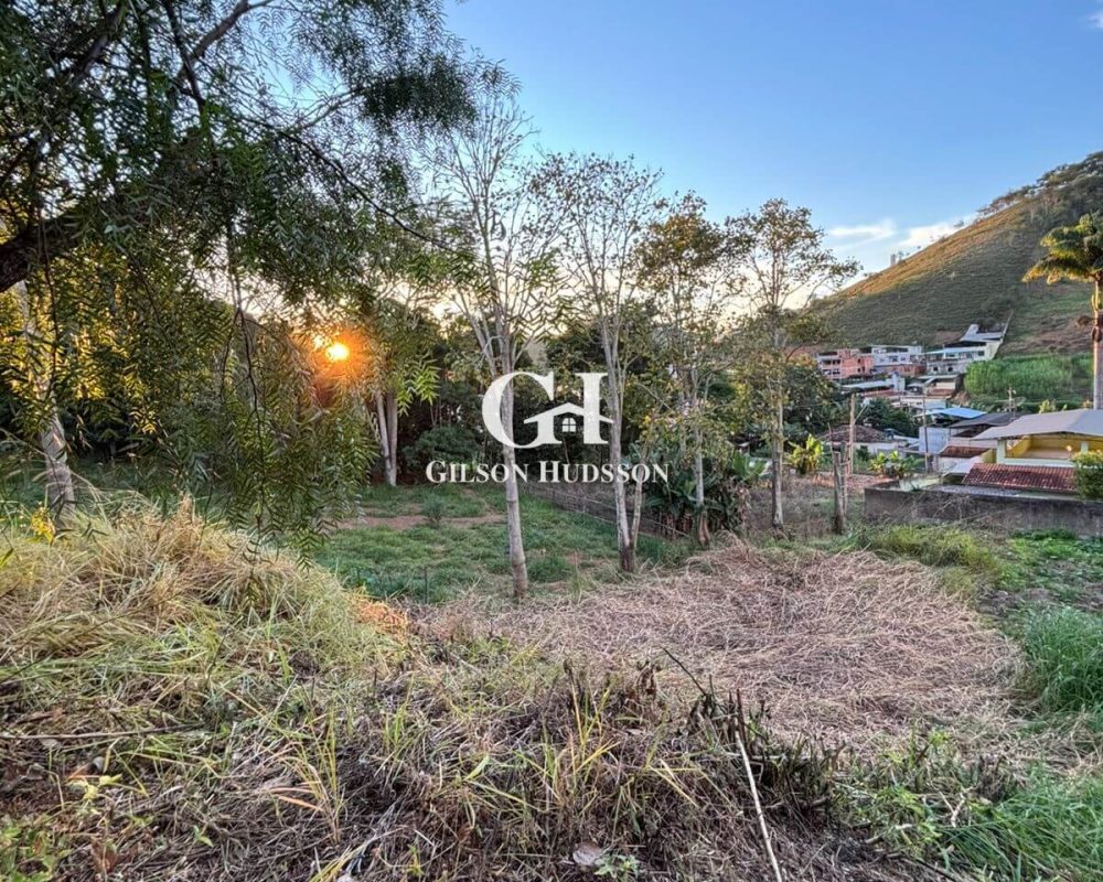 Lote no Bairro Inácio Martins em Viçosa - COD 039 (11)