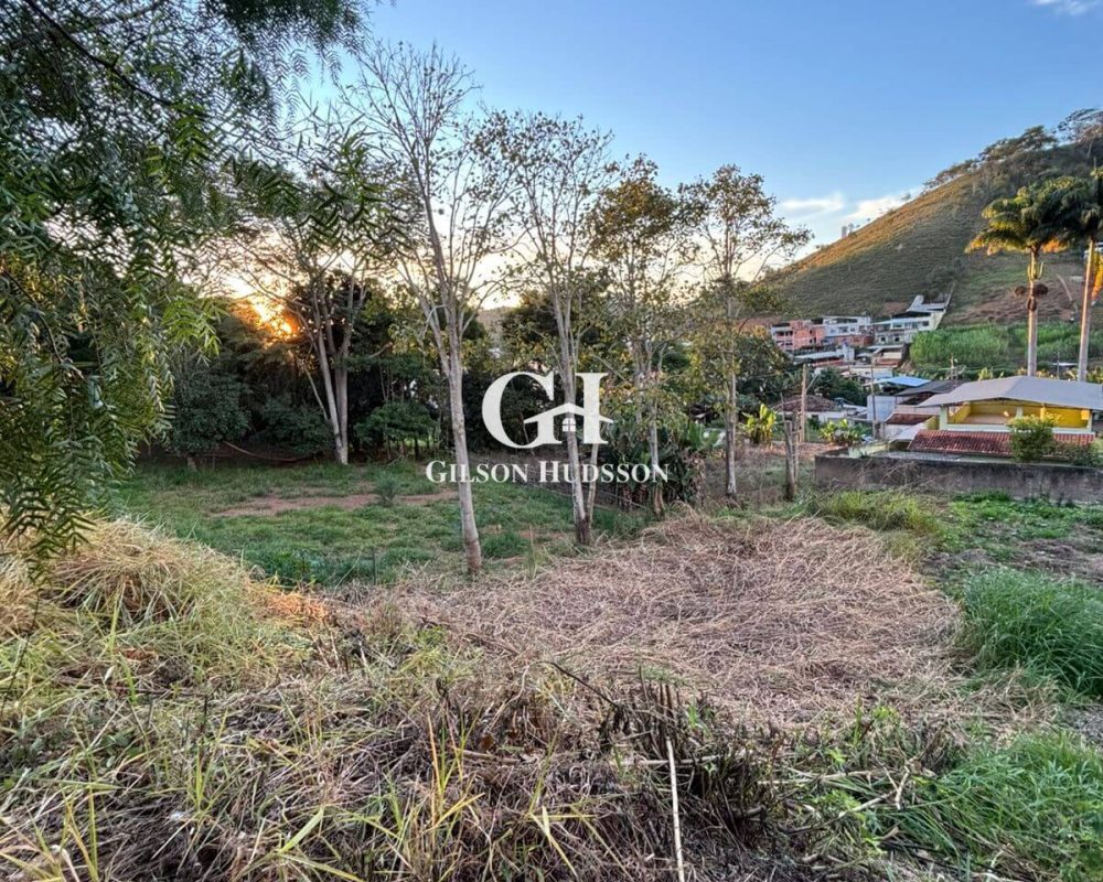 Lote no Bairro Inácio Martins em Viçosa - COD 039 (7)