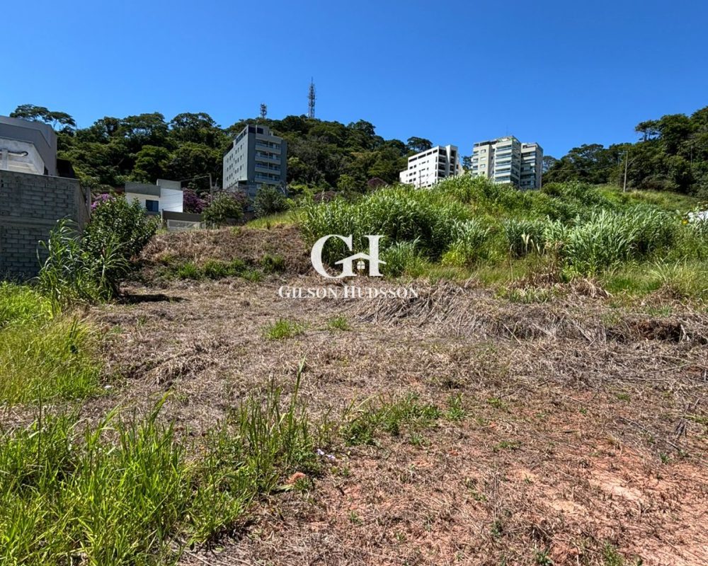 Lote no Bairro Santo Antonio em Viçosa - COD 040 (2)