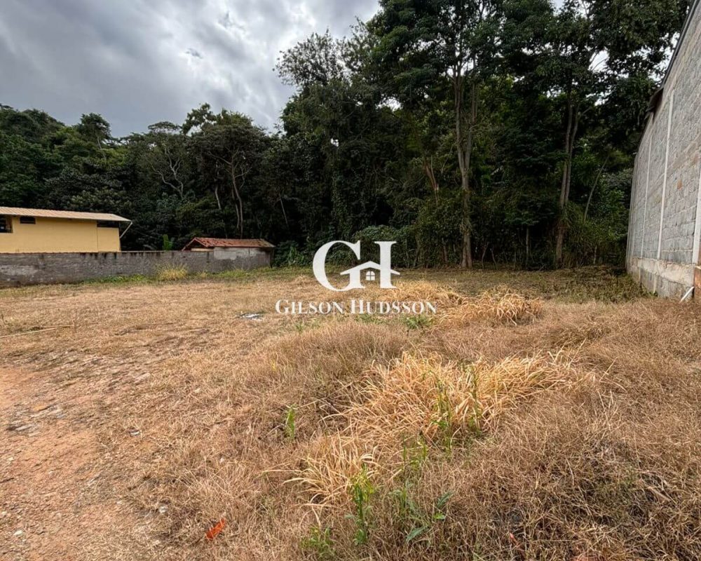 Lotes no Bairro Inácio Martins em Viçosa - COD 056 (8)