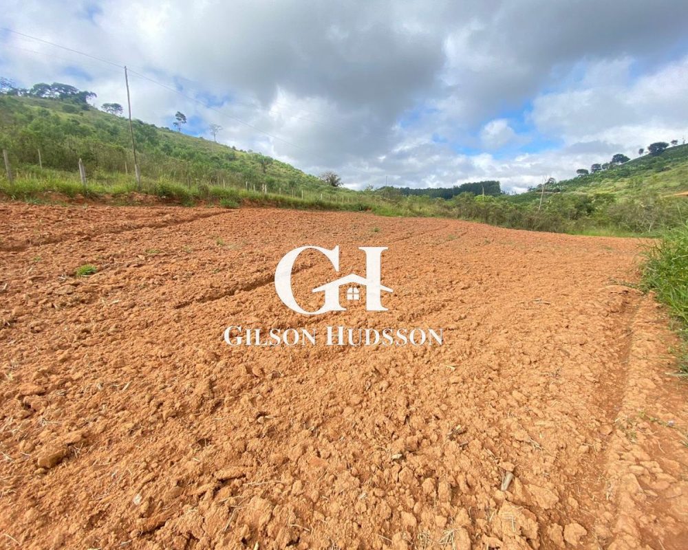 WhatsApp Image 2025-09-10 at 12.02.16 (1)