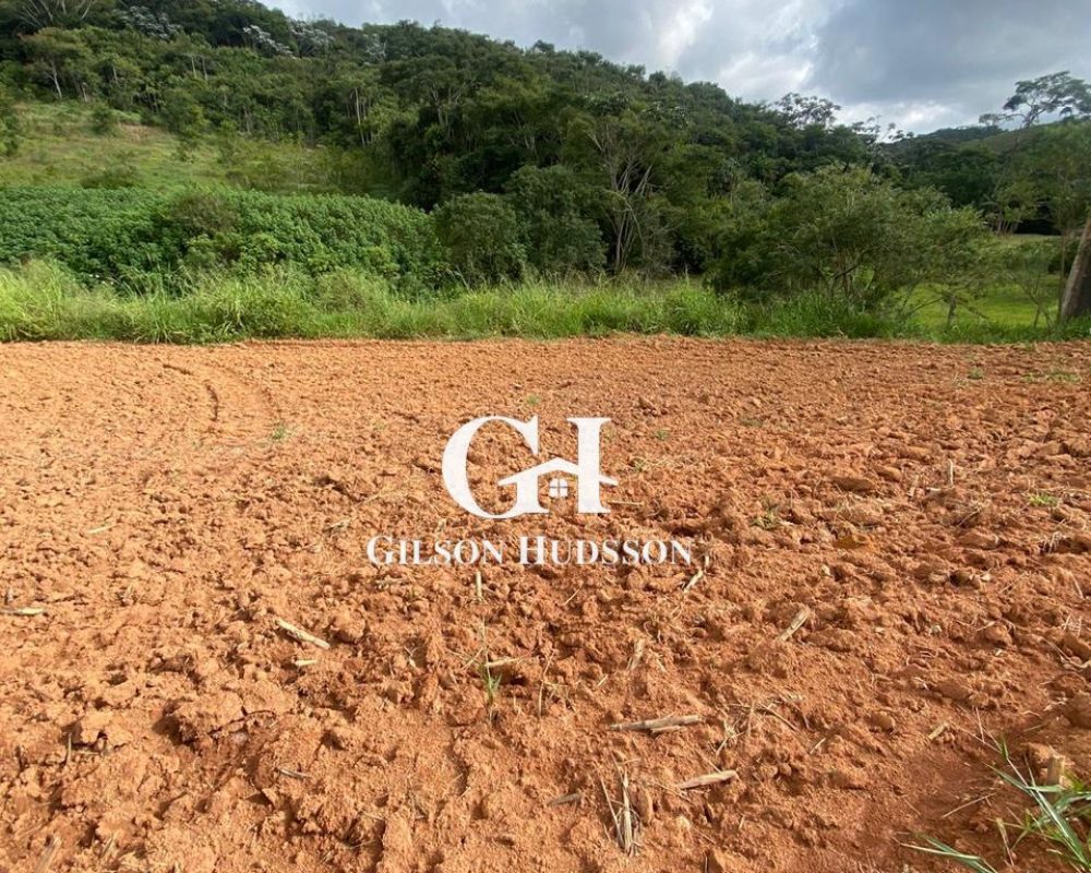 WhatsApp Image 2025-09-10 at 12.02.17 (1)