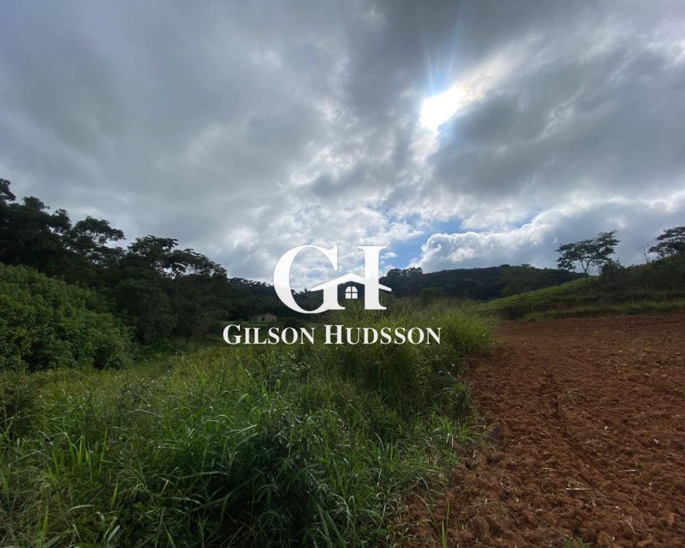 WhatsApp Image 2025-09-10 at 12.02.17 (3)