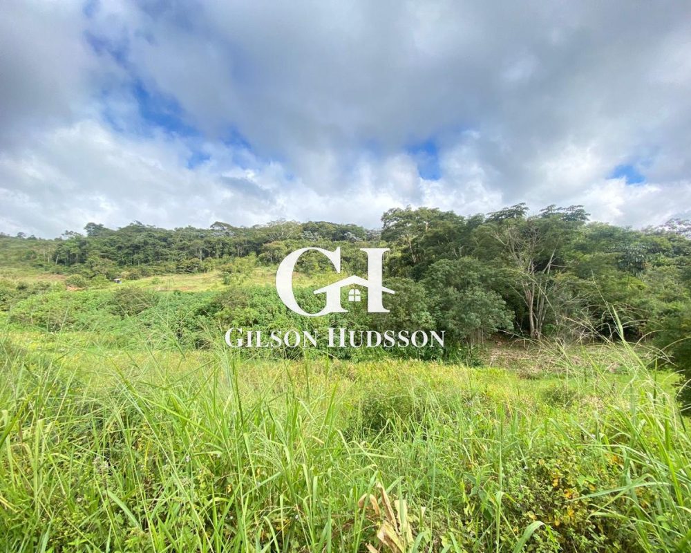 WhatsApp Image 2025-09-10 at 12.02.17