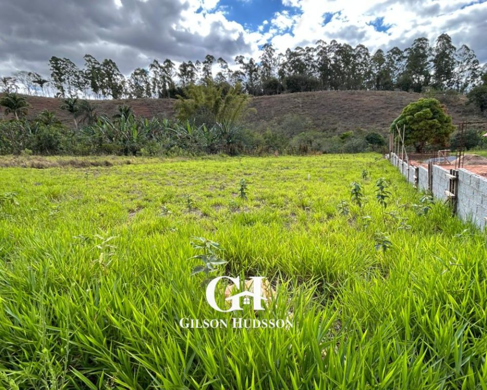 WhatsApp Image 2025-10-23 at 14.36.26 (1)