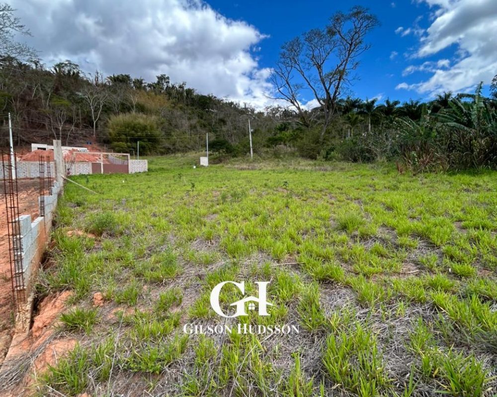 WhatsApp Image 2025-10-23 at 14.36.27 (4)