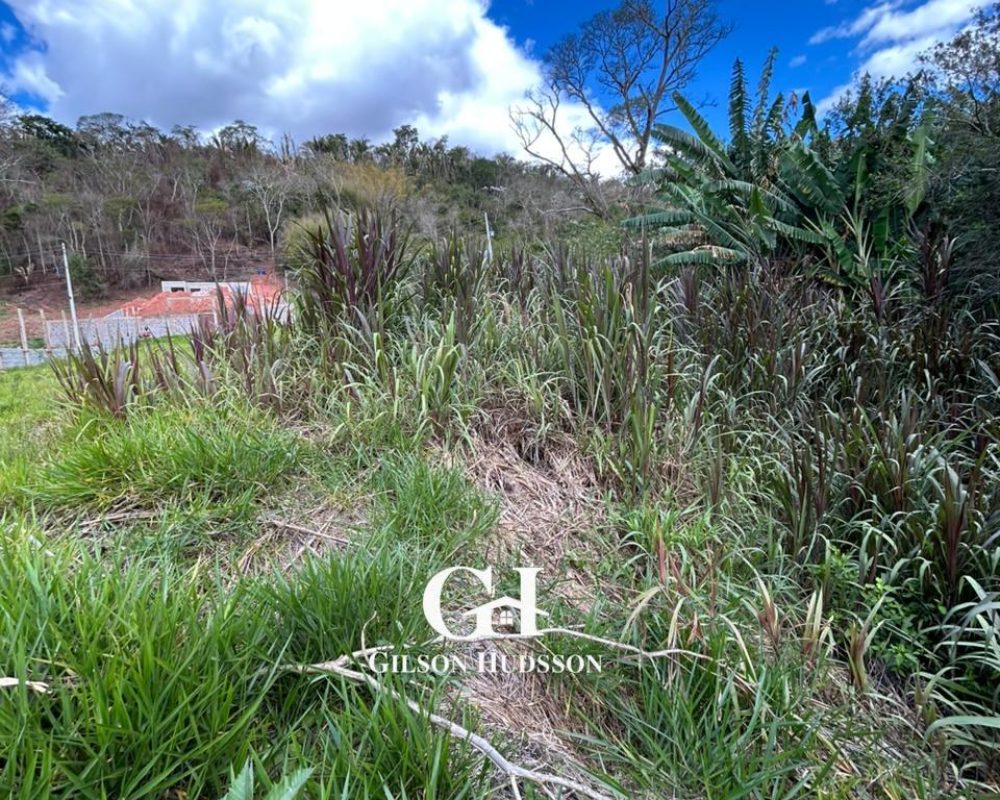 WhatsApp Image 2025-10-23 at 14.36.28 (3)