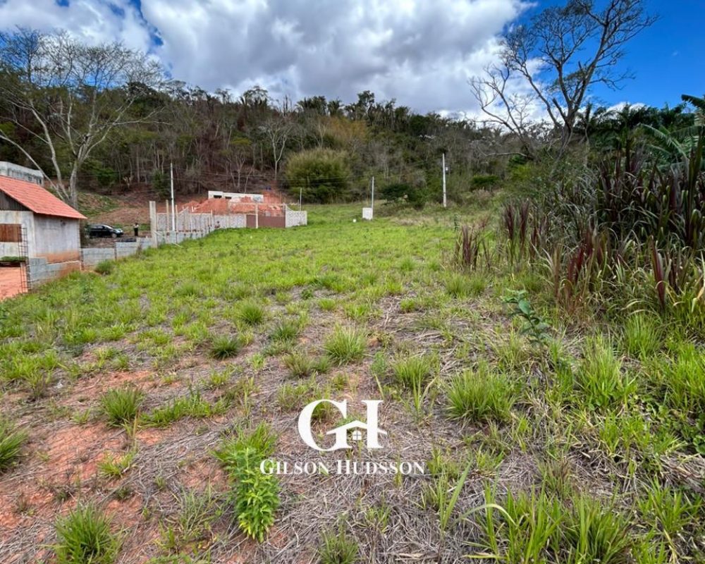 WhatsApp Image 2025-10-23 at 14.36.28