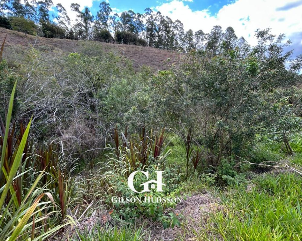 WhatsApp Image 2025-10-23 at 14.36.29 (1)