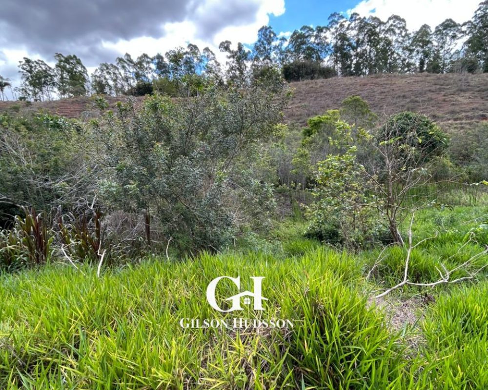 WhatsApp Image 2025-10-23 at 14.36.29