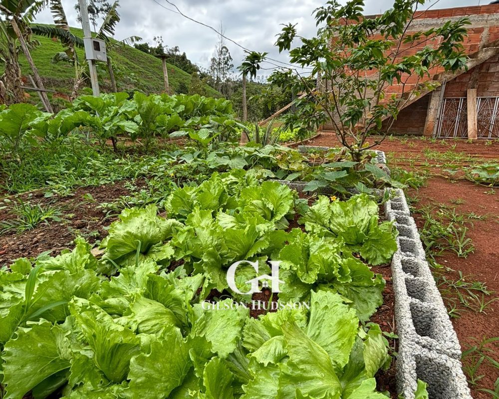 WhatsApp Image 2025-10-25 at 09.34.45 (2)