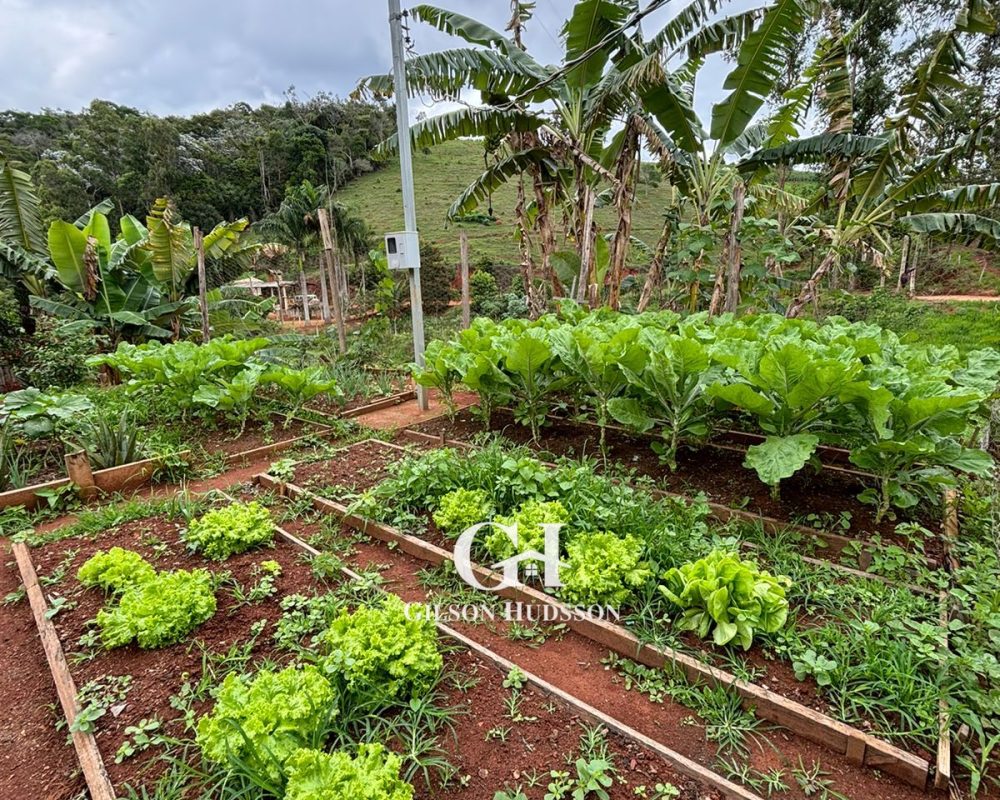 WhatsApp Image 2025-10-25 at 09.34.45 (3)