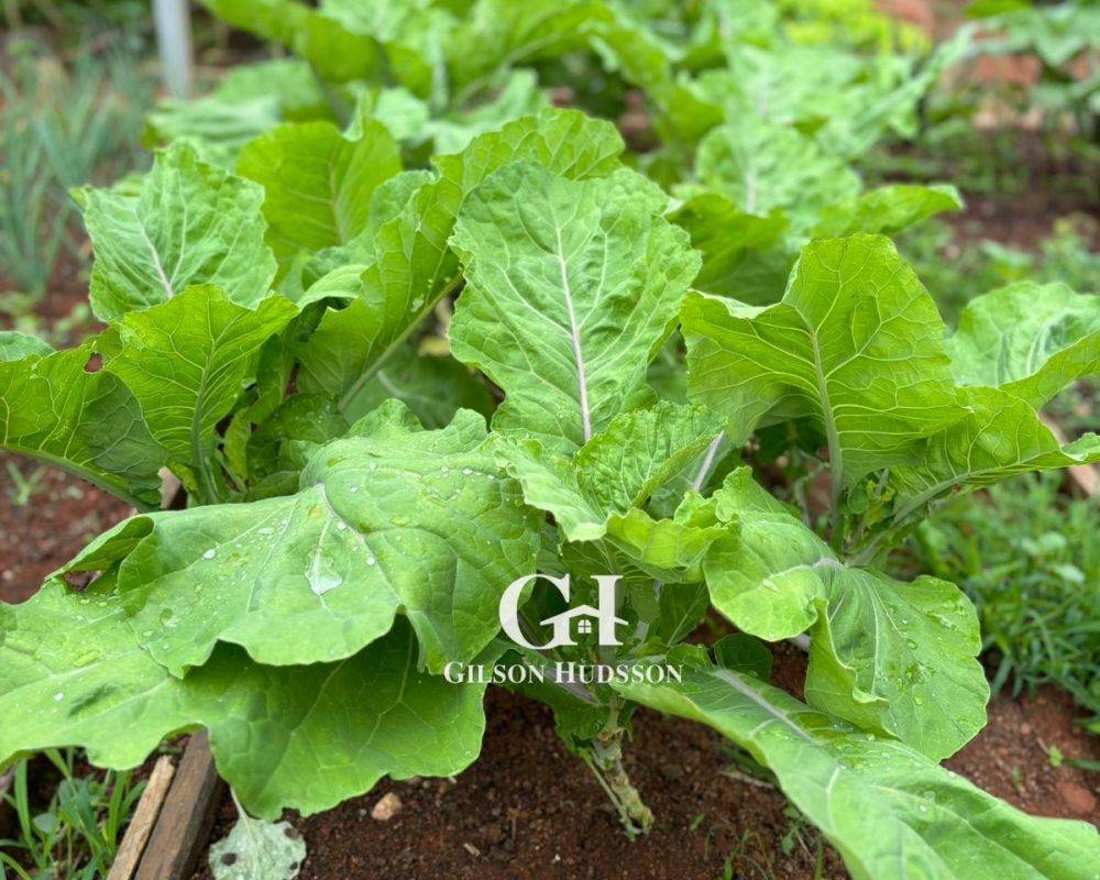 WhatsApp Image 2025-10-25 at 09.34.45