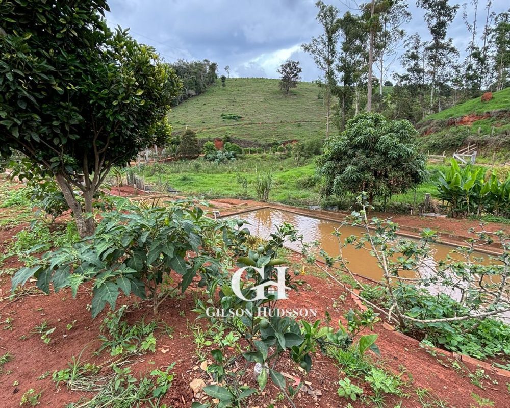 WhatsApp Image 2025-10-25 at 09.34.46 (1)