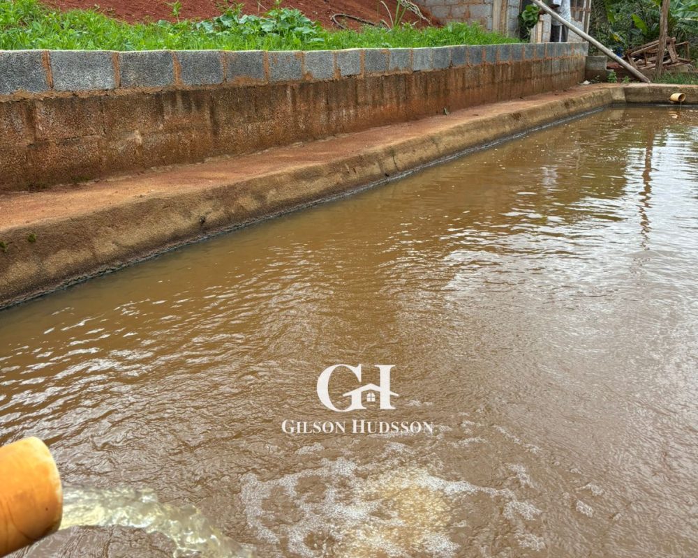 WhatsApp Image 2025-10-25 at 09.34.46 (3)