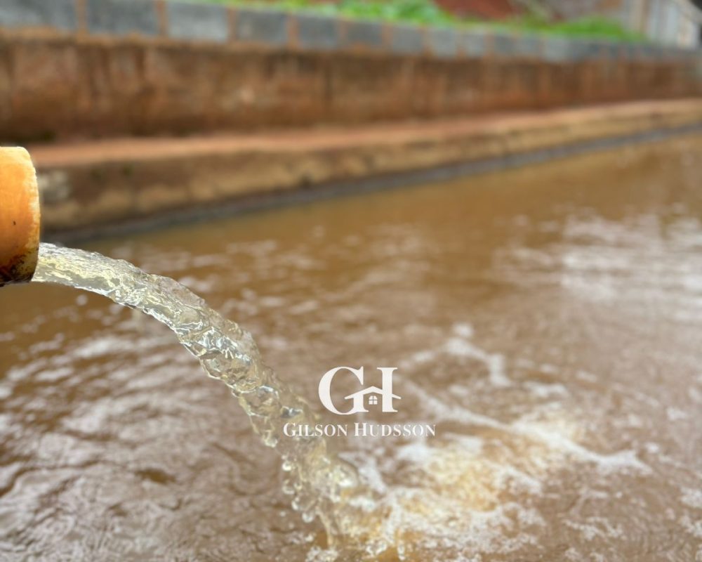 WhatsApp Image 2025-10-25 at 09.34.46 (4)