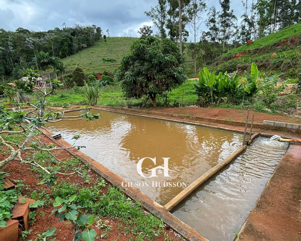 WhatsApp Image 2025-10-25 at 09.34.46