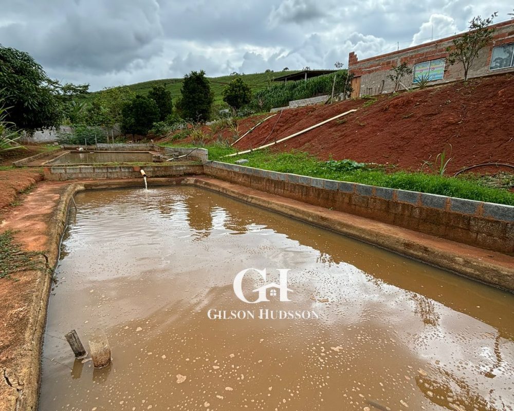 WhatsApp Image 2025-10-25 at 09.34.47