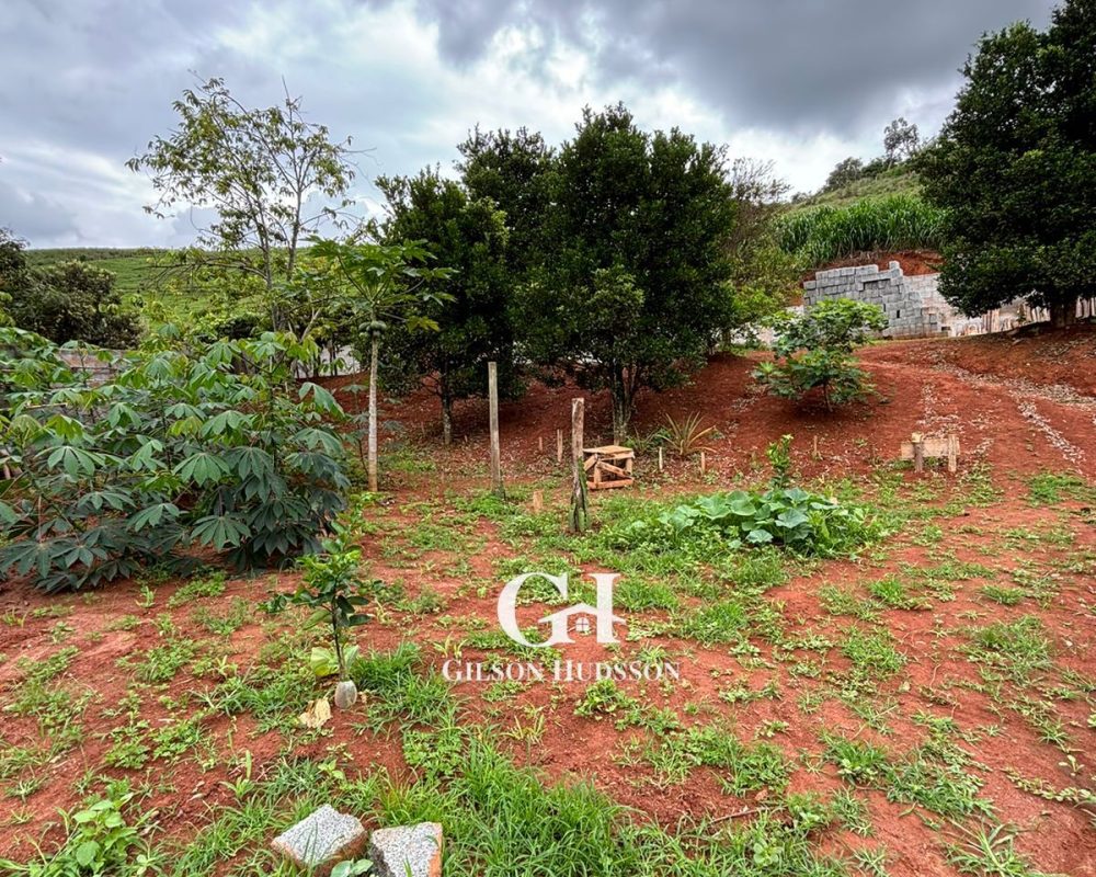 WhatsApp Image 2025-10-25 at 09.34.48 (1)