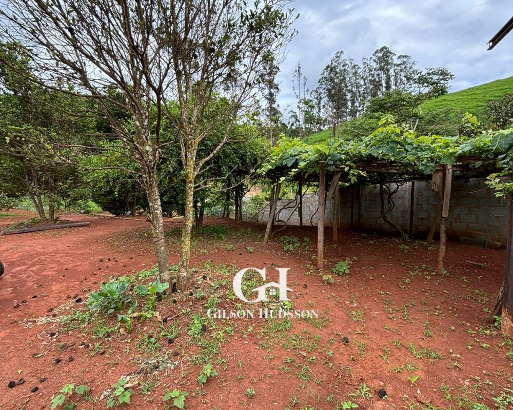 WhatsApp Image 2025-10-25 at 09.34.48 (4)