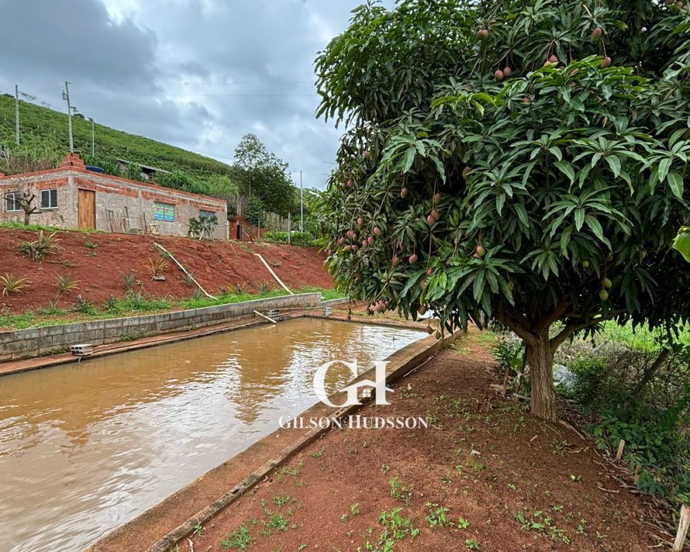 WhatsApp Image 2025-10-25 at 09.34.48