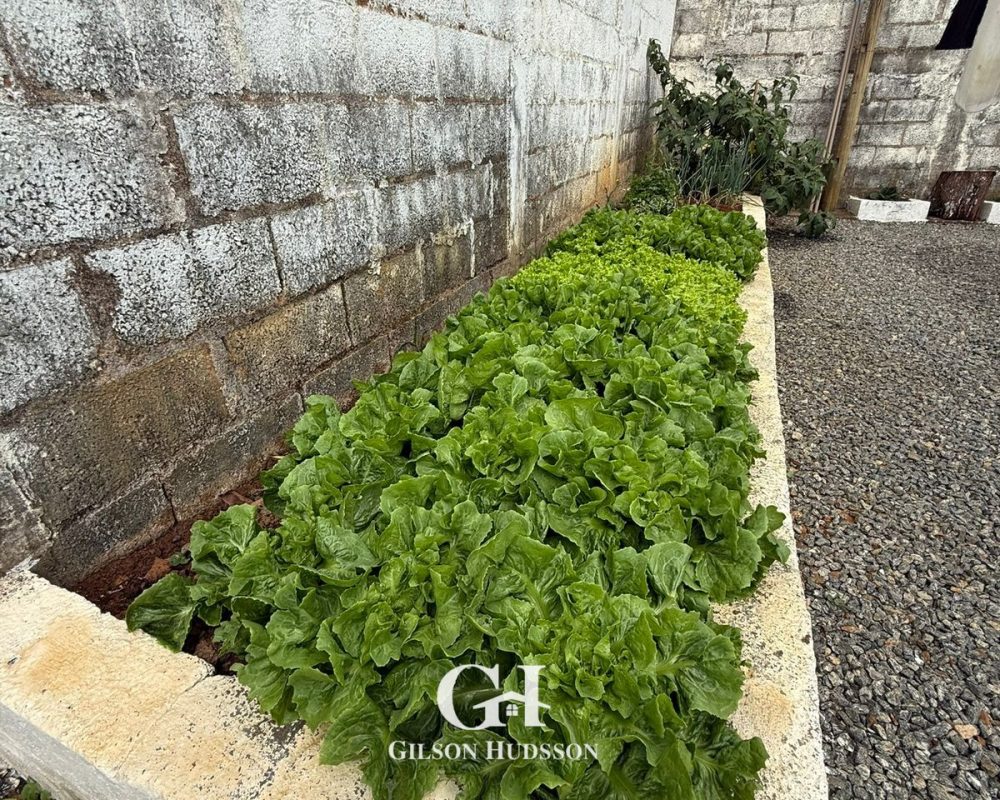 WhatsApp Image 2025-11-06 at 20.13.41 (3)